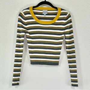 Striped‎ Long Sleeve Ribbed Crop Top The Slope Brooklyn NY